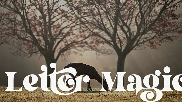 Letter Magic Font