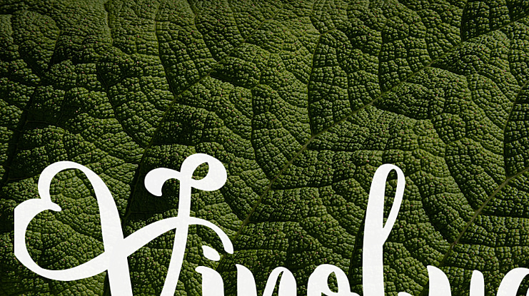 Vinolya Font