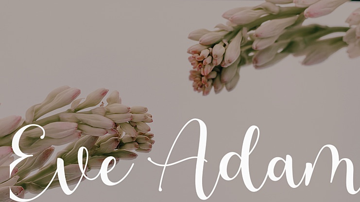 Eve Adam Font