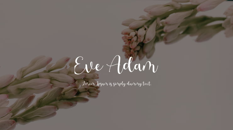 Eve Adam Font