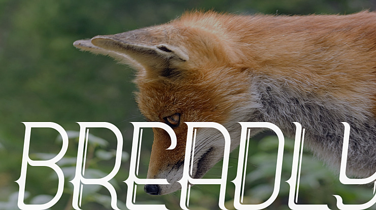 Breadly Font