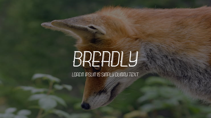 Breadly Font