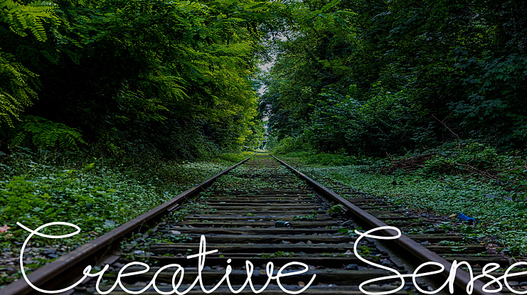 Creative Sense Font