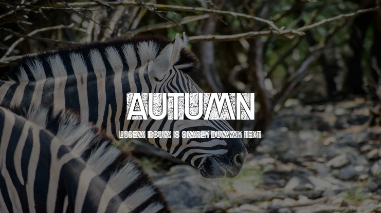 Autumn Font