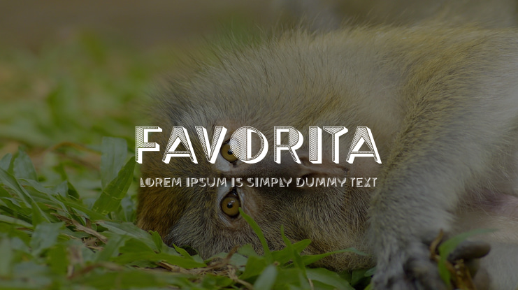 Favorita Font