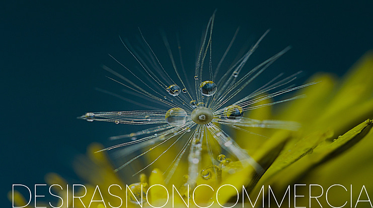 DesirasNonCommercial Font