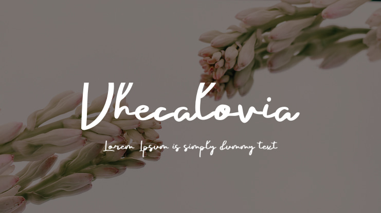 Dhecalovia Font