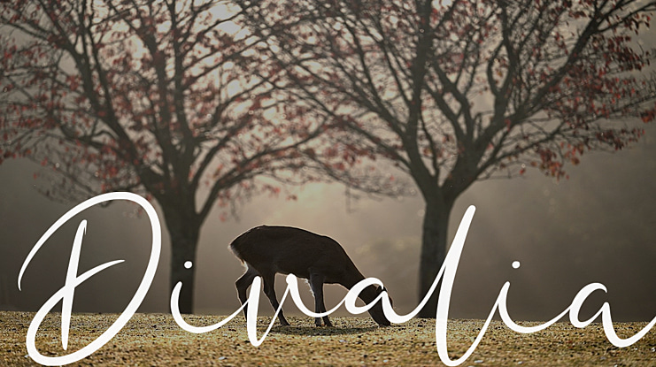 Divalia Font Family