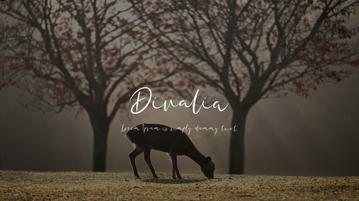 Divalia Font Family
