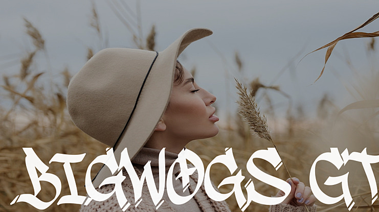 Bigwogs GT Font