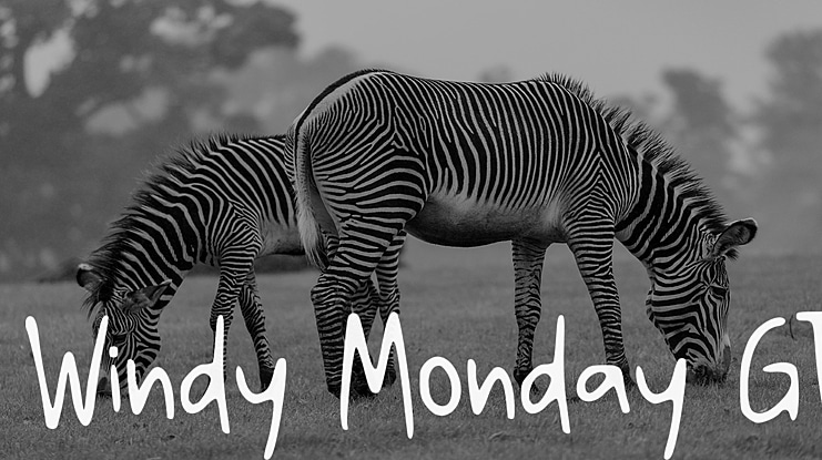 Windy Monday GT Font