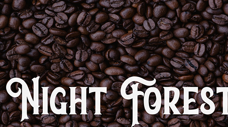 Night Forest Font
