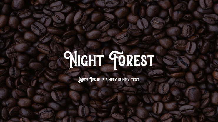 Night Forest Font