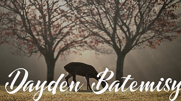 Dayden Batemisy Font