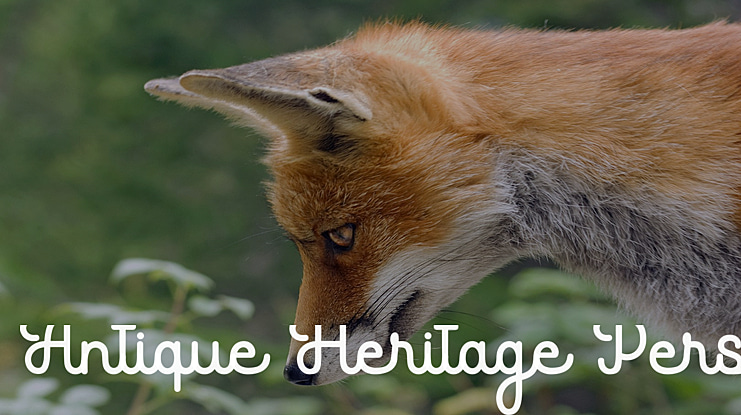 Antique Heritage Personal use Font