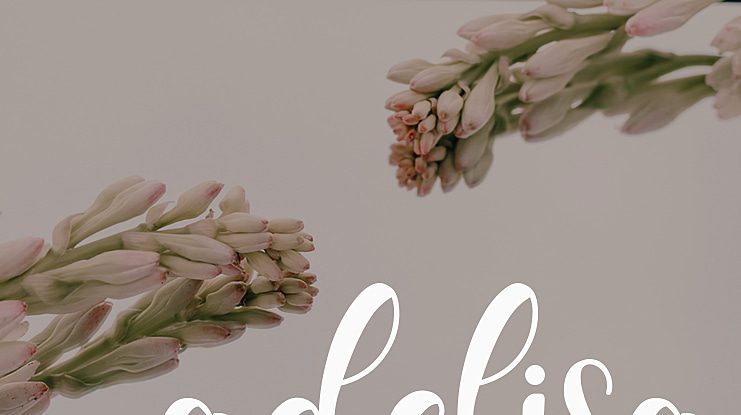 adelisa Font