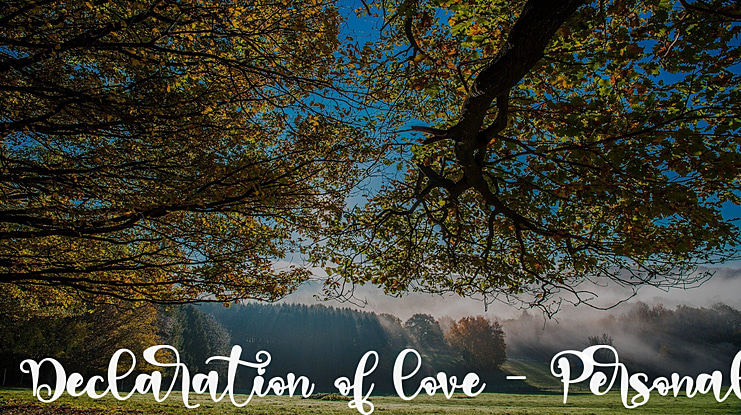 Declaration of love - Personal Font