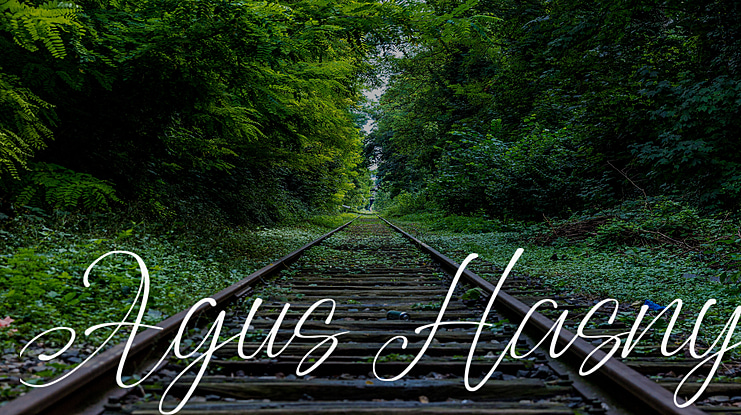 Agus Hasny Font