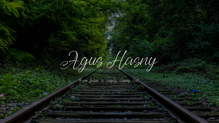 Agus Hasny Font