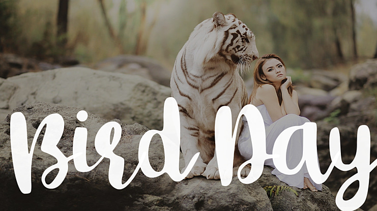 Bird Day Font