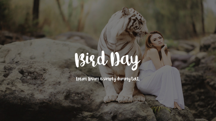 Bird Day Font