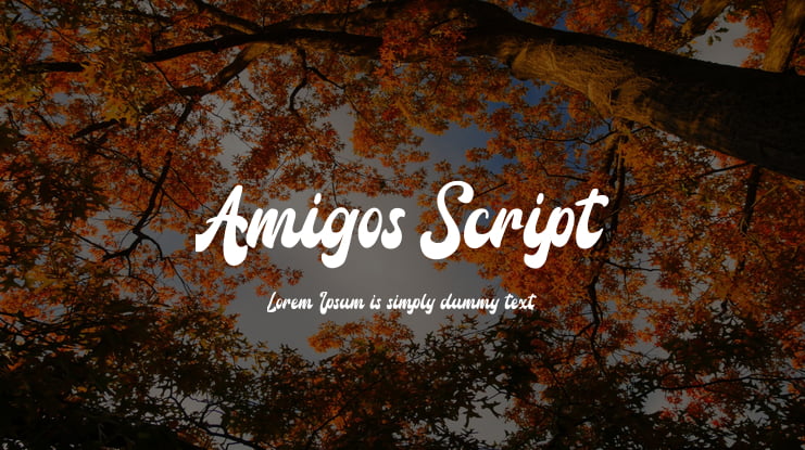 Amigos Script Font