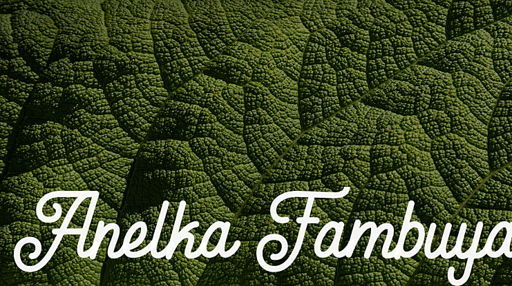 Anelka Fambuya Font