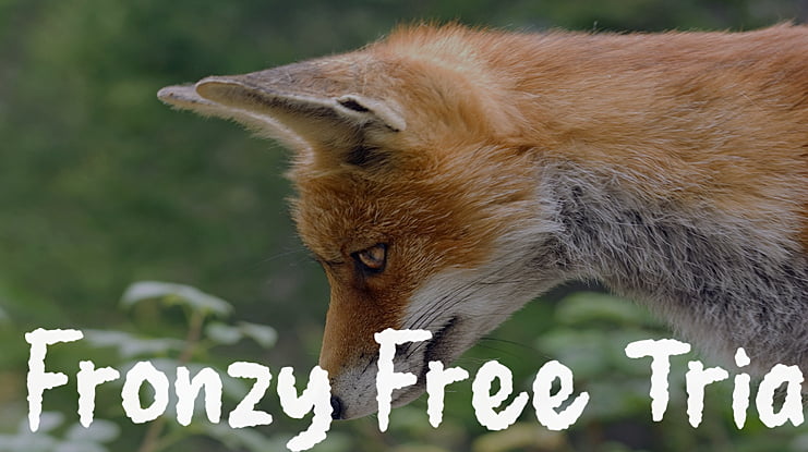 Fronzy Free Trial Font