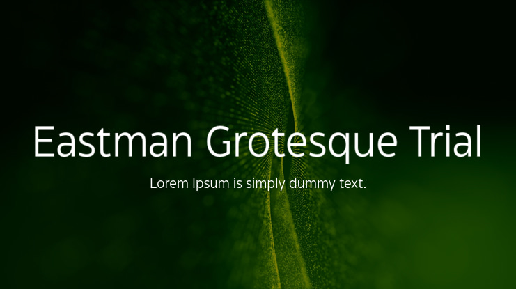 Eastman Grotesque Trial Font Family