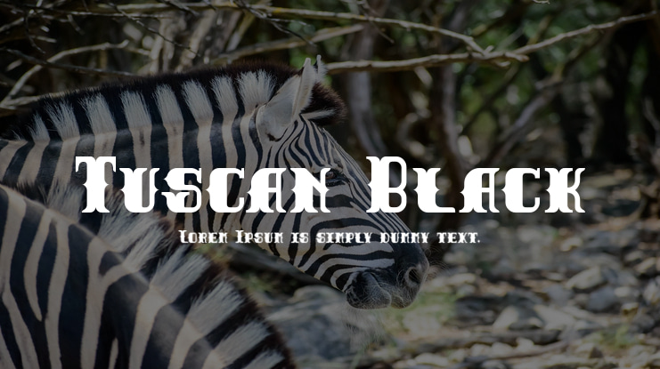 Tuscan Black Font