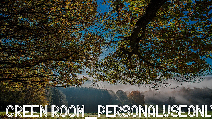 Green Room_PersonalUseOnly Font