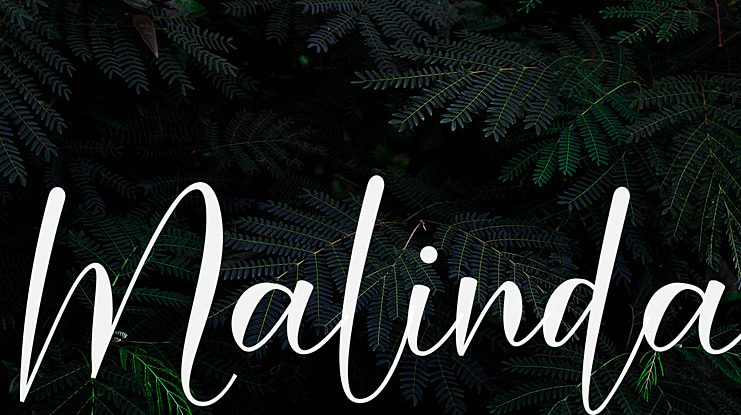 Malinda Font