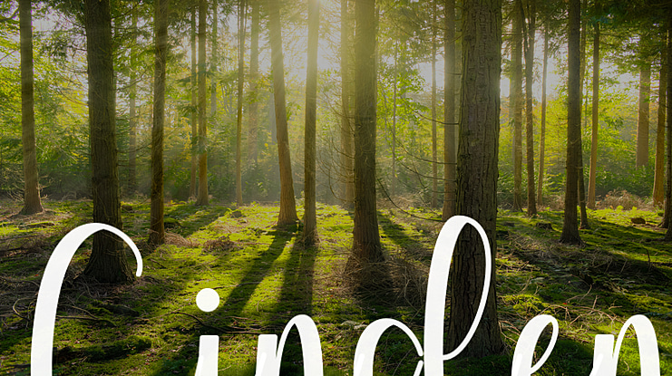 Cinden Font
