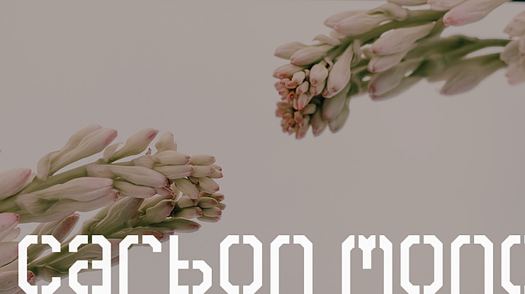 Carbon Mono Font Family