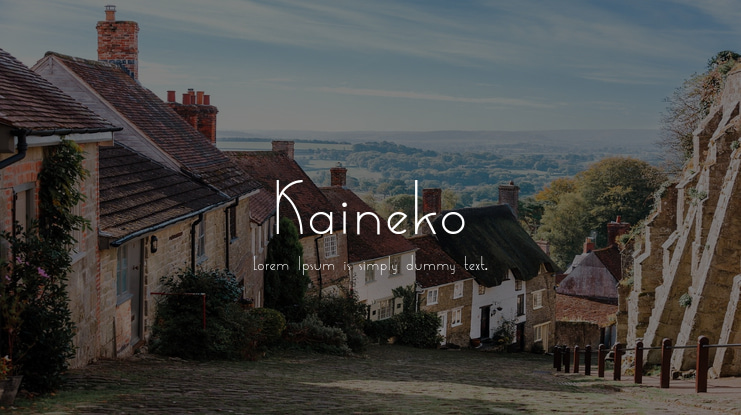 Kaineko Font Family