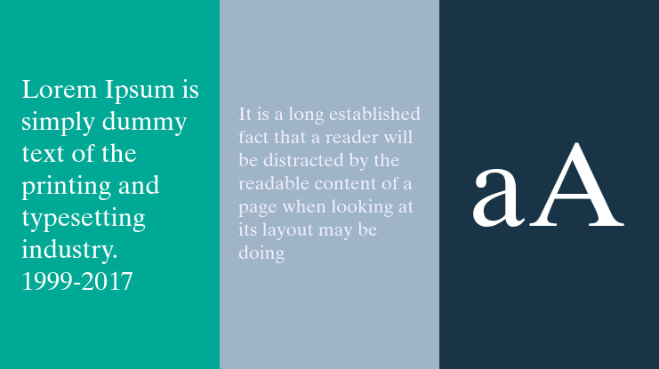 Times Ten Font Family