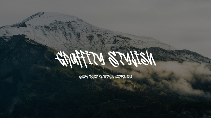 Graffity Stylish Font Family