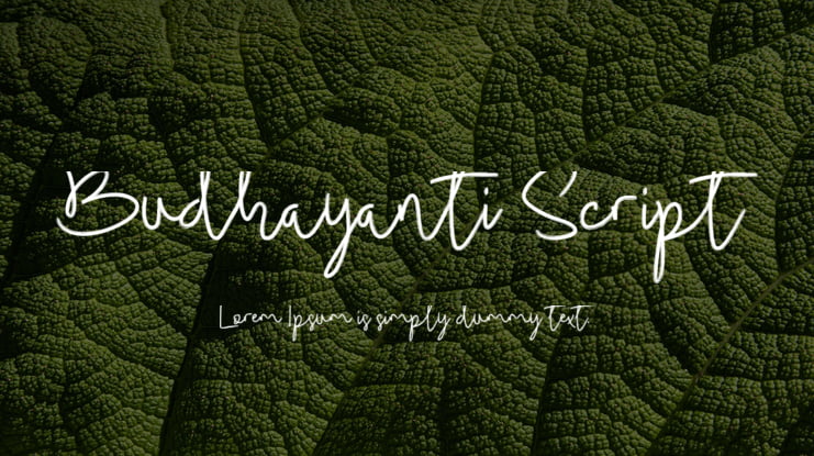 Budhayanti Script Font