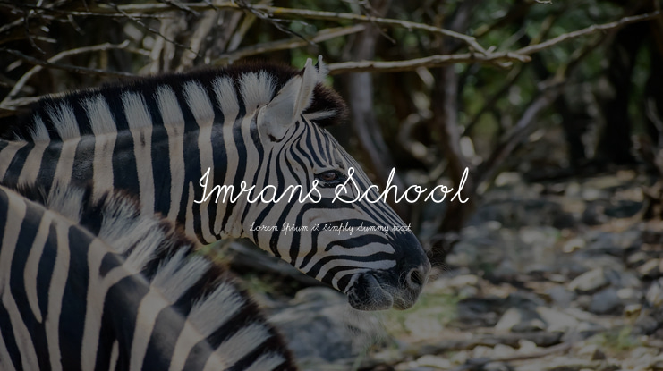 Imrans School Font Family