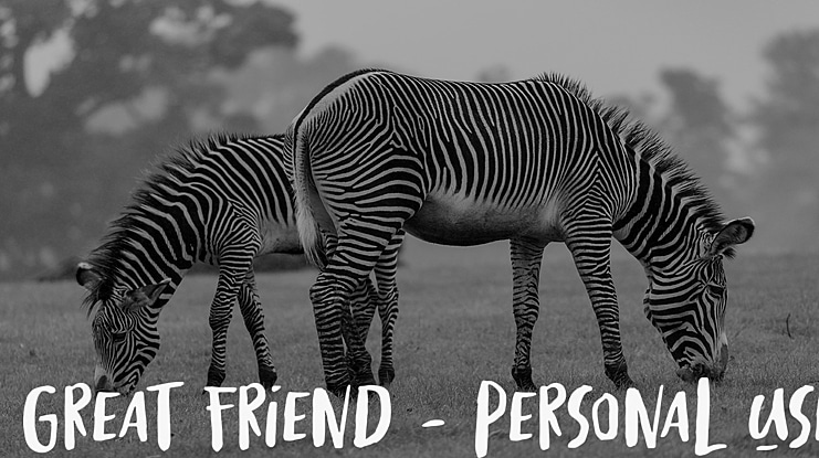 Great Friend - Personal Use Font