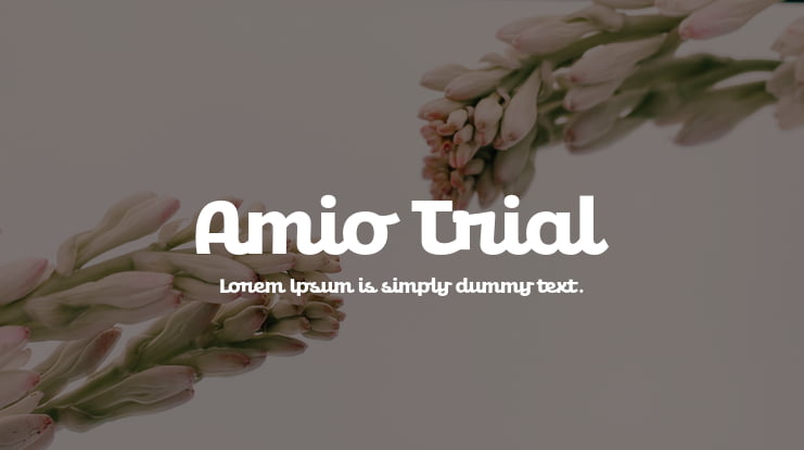 Amio Trial Font