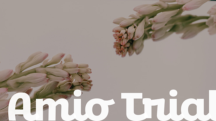 Amio Trial Font