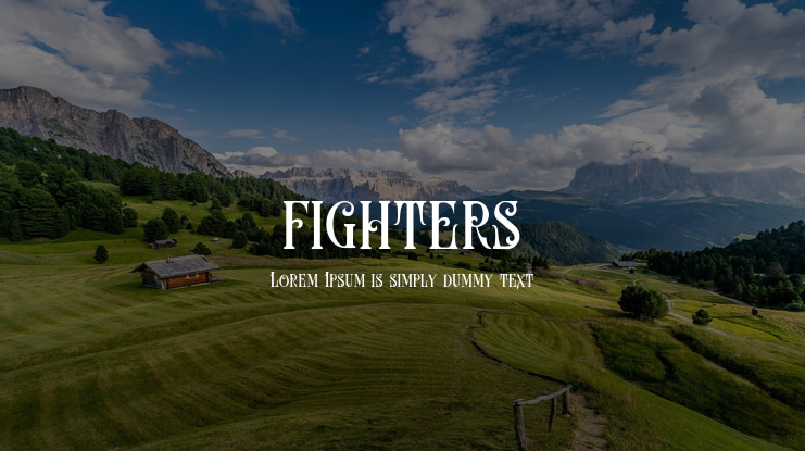 fighters Font