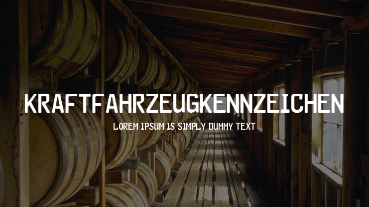 Kraftfahrzeugkennzeichen Font