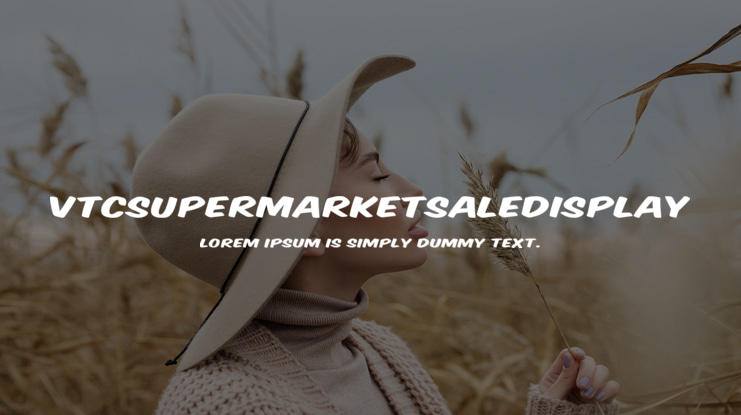 VTCSuperMarketSaleDisplay Font Family