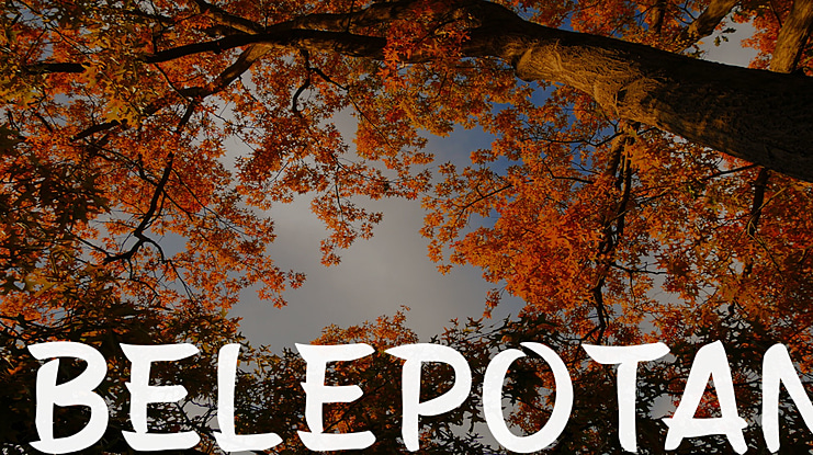 Belepotan Font Family