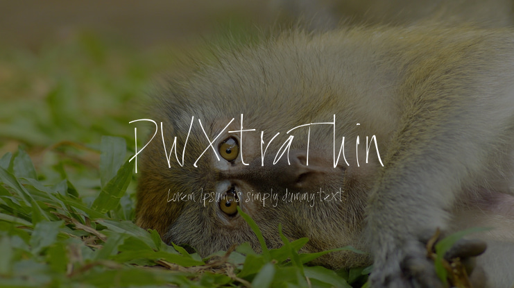 PWXtraThin Font