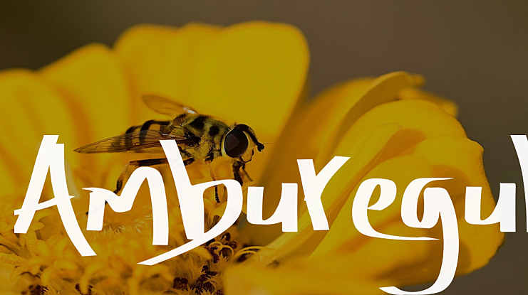 Amburegul Font Family