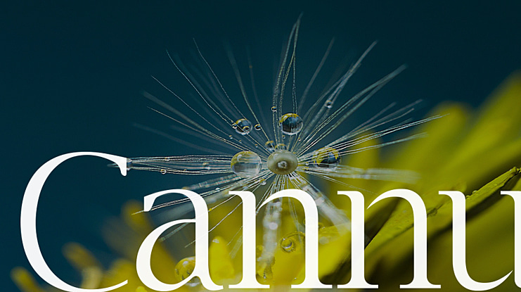 Cannu Font
