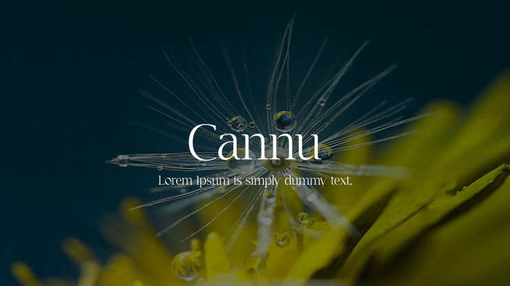 Cannu Font